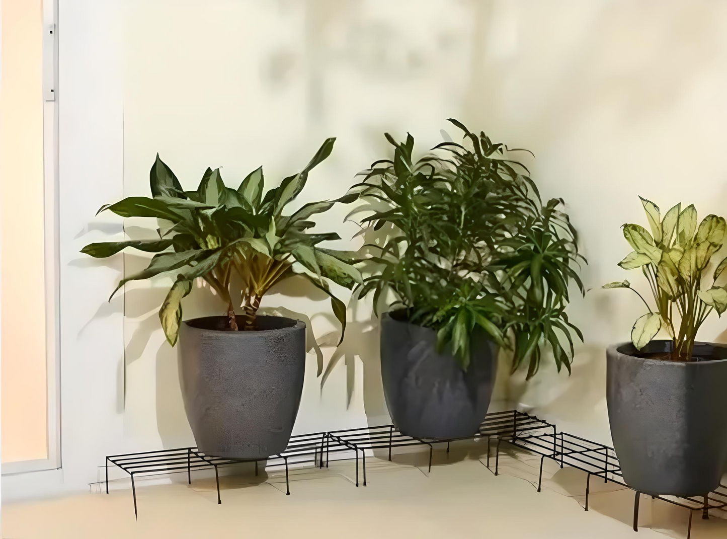 🪴 Durable Iron Plant Stand – Pack of 4 | Sleek & Sturdy Design